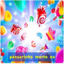 passarinho morto no quintal significado espiritual